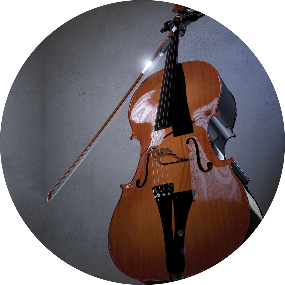 Cello und Kontrabass